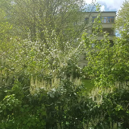 莱比锡伍尔夫公寓 4*