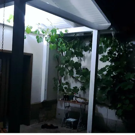 Lejlighedshotel Wohlfuehl